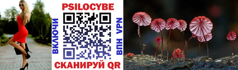 Галлюциногенные грибы GOLDEN TEACHER  Купить закладки  Ессентуки 